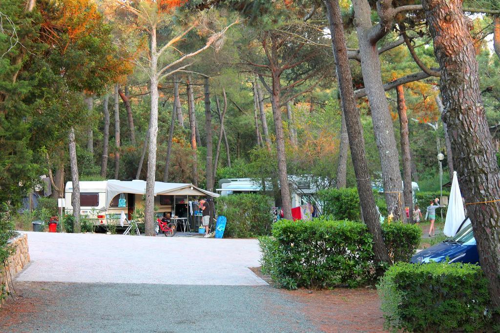 Le Esperidi Camping Ecoresort Marina Di Bibbona Exterior photo