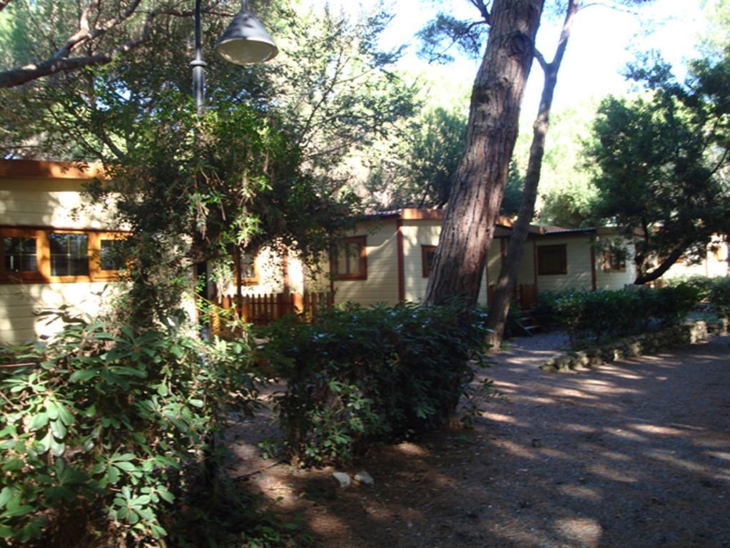 Le Esperidi Camping Ecoresort Marina Di Bibbona Exterior photo