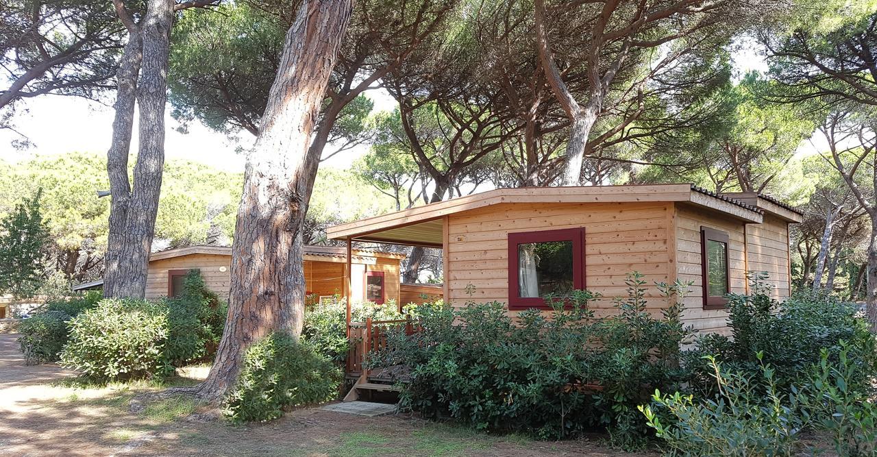 Le Esperidi Camping Ecoresort Marina Di Bibbona Exterior photo